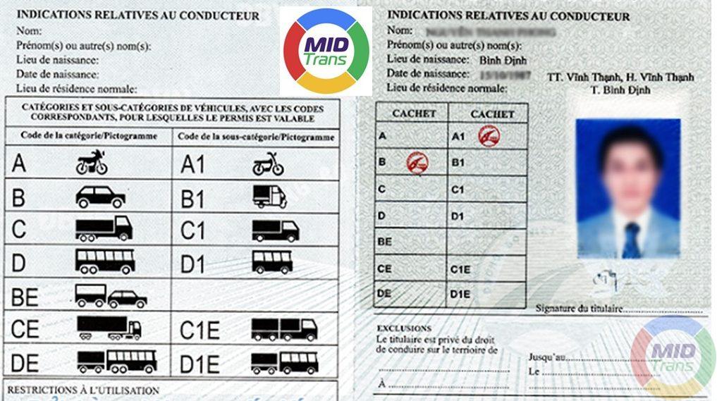 Mẫu dịch thuật Bằng lái xe Quốc tế cho khách hàng tại Quảng Trị