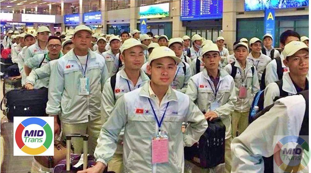 Dịch thuật Hồ sơ xuất khẩu lao động chuẩn xác tại MIDTRANS